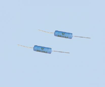 RX21 TYPE COATING WIRE WOUND RESISTOR